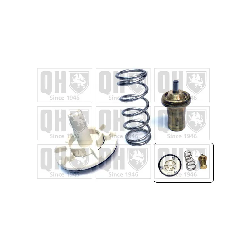 Thermostat d'eau QUINTON HAZELL QTH736K