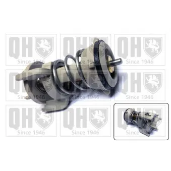 Thermostat d'eau QUINTON HAZELL QTH741K