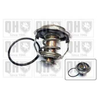 Thermostat d'eau QUINTON HAZELL QTH753K