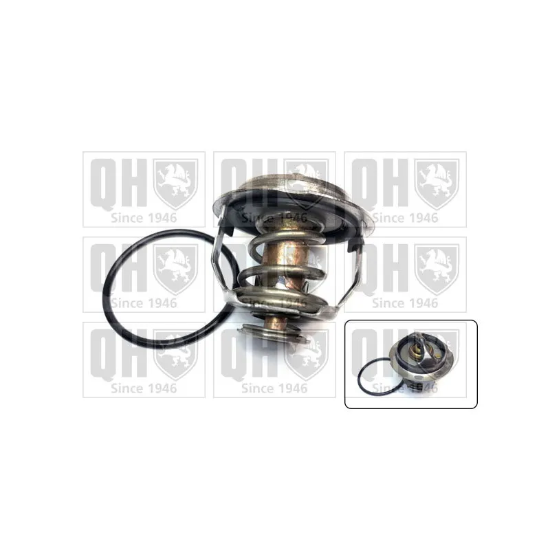 Thermostat d'eau QUINTON HAZELL QTH753K