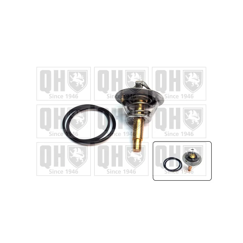 Thermostat d'eau QUINTON HAZELL QTH768K