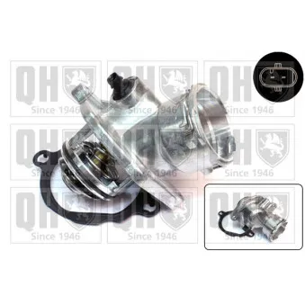 Thermostat d'eau QUINTON HAZELL