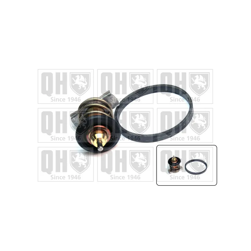 Thermostat d'eau QUINTON HAZELL QTH784K