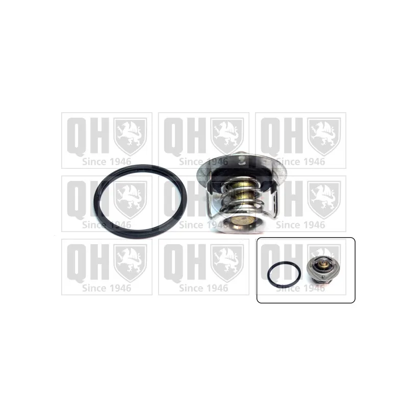 Thermostat d'eau QUINTON HAZELL QTH786K