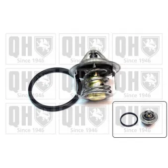 Thermostat d'eau QUINTON HAZELL QTH788K