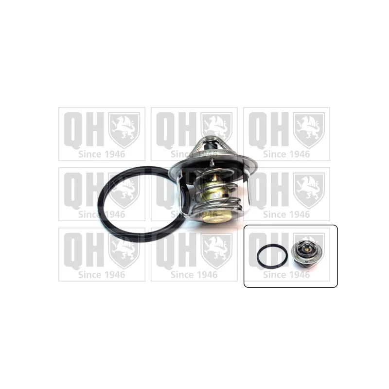 Thermostat d'eau QUINTON HAZELL QTH788K