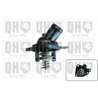 Thermostat d'eau QUINTON HAZELL