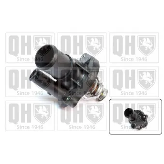 Thermostat d'eau QUINTON HAZELL QTH793K