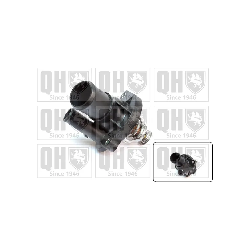 Thermostat d'eau QUINTON HAZELL QTH793K