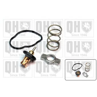 Thermostat d'eau QUINTON HAZELL