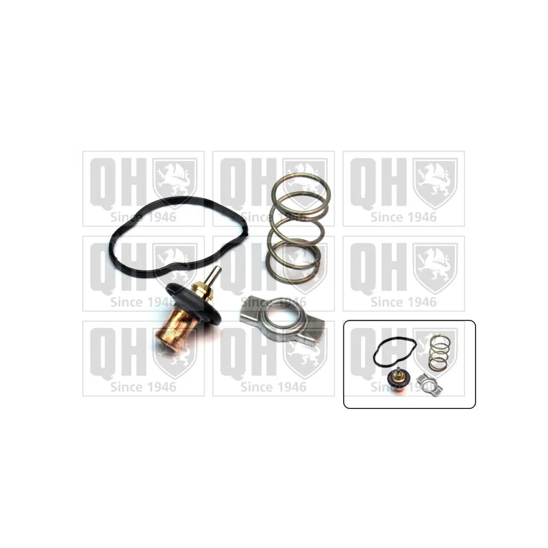 Thermostat d'eau QUINTON HAZELL QTH795K