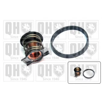 Thermostat d'eau QUINTON HAZELL