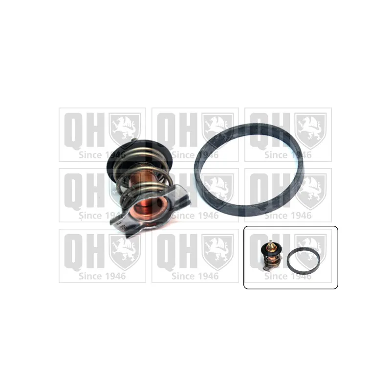 Thermostat d'eau QUINTON HAZELL QTH900K