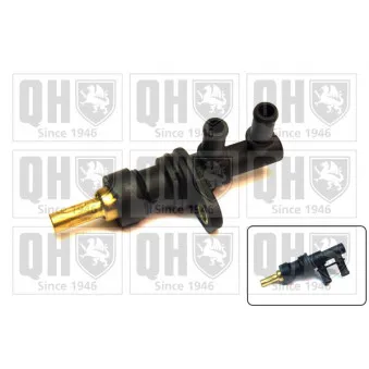 Thermostat d'eau QUINTON HAZELL