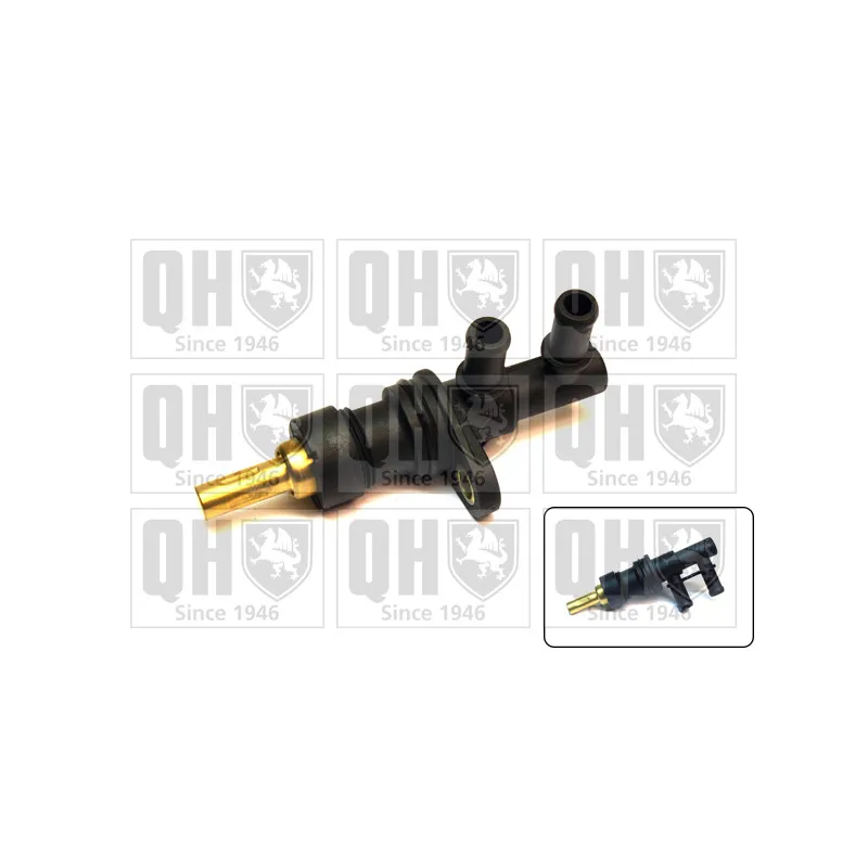 Thermostat d'eau QUINTON HAZELL QTH902K