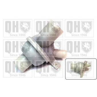 Thermostat d'eau QUINTON HAZELL