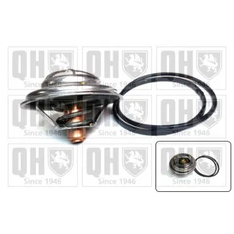 Thermostat d'eau QUINTON HAZELL