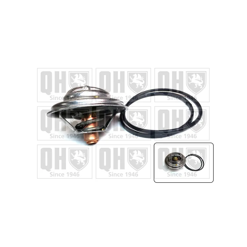 Thermostat d'eau QUINTON HAZELL QTH920K