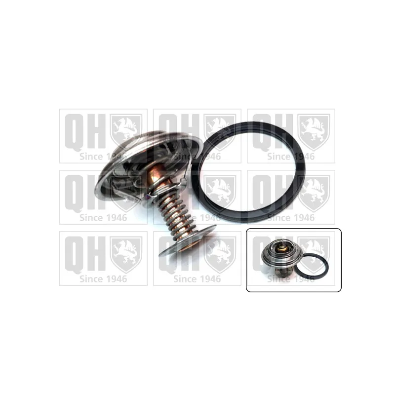 Thermostat d'eau QUINTON HAZELL QTH921K