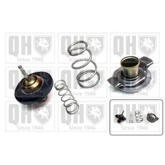 Thermostat d'eau QUINTON HAZELL