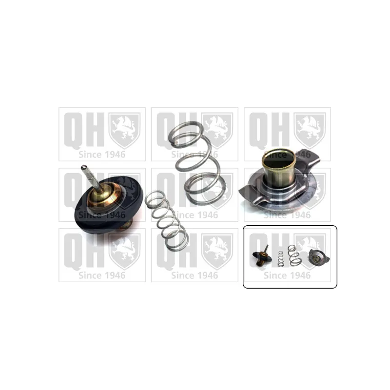 Thermostat d'eau QUINTON HAZELL QTH922K