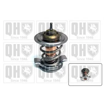 Thermostat d'eau QUINTON HAZELL QTH923K