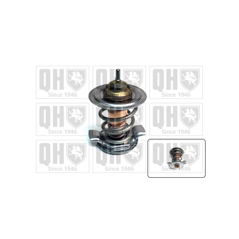 Thermostat d'eau QUINTON HAZELL QTH923K