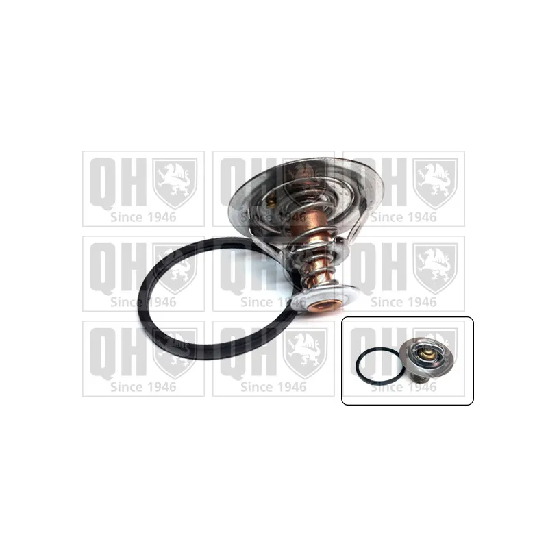 Thermostat d'eau QUINTON HAZELL QTH924K