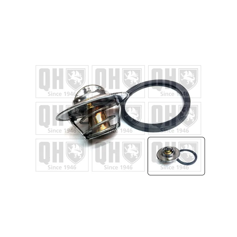 Thermostat d'eau QUINTON HAZELL QTH925K