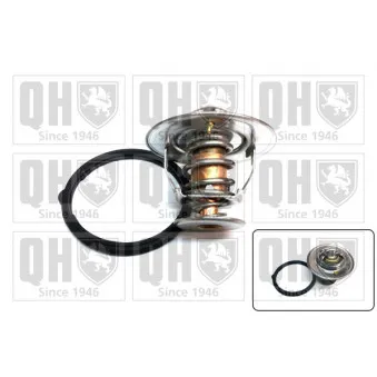 Thermostat d'eau QUINTON HAZELL