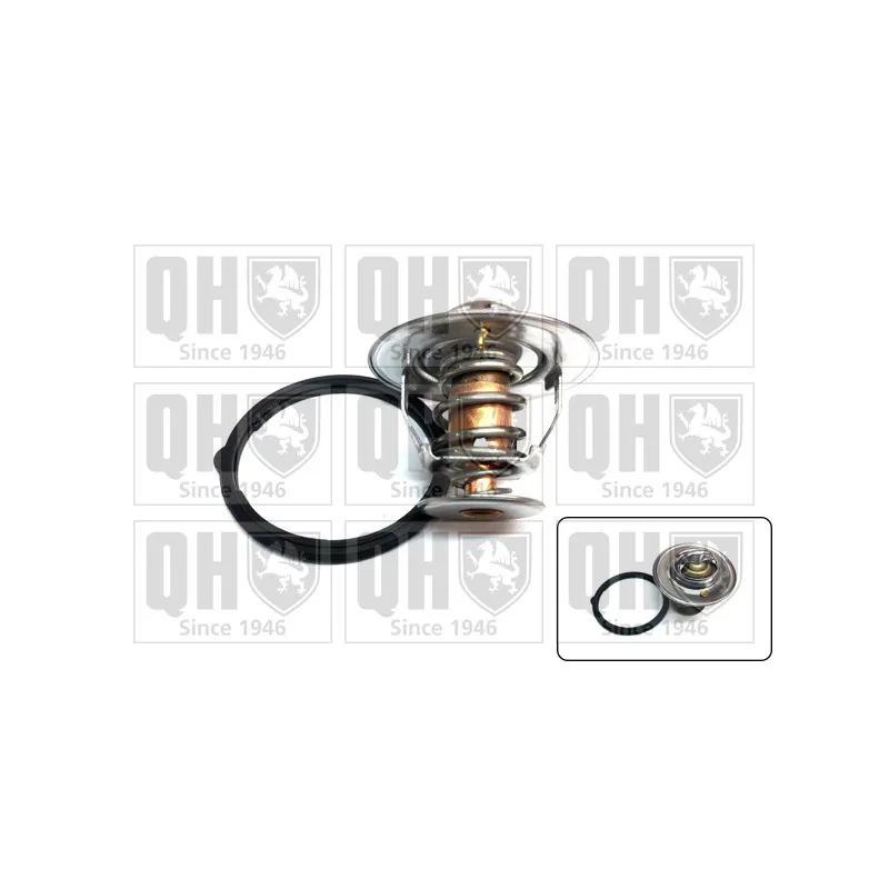 Thermostat d'eau QUINTON HAZELL QTH926K