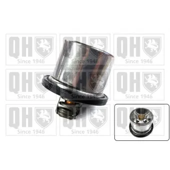 Thermostat d'eau QUINTON HAZELL