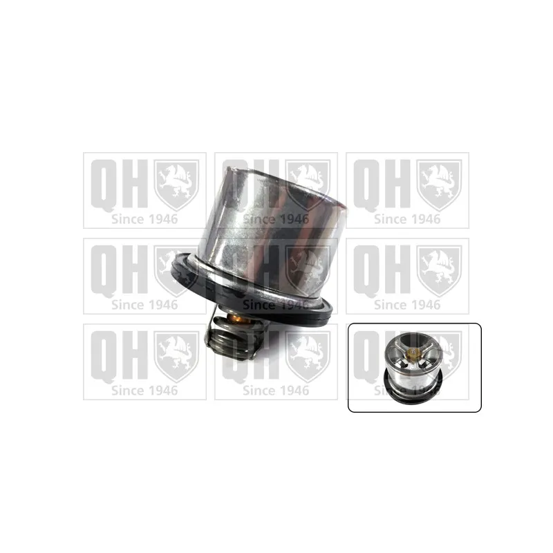 Thermostat d'eau QUINTON HAZELL QTH927K