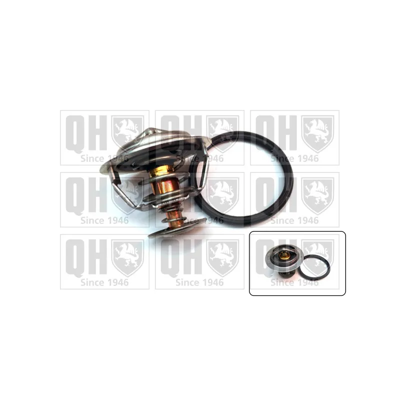 Thermostat d'eau QUINTON HAZELL QTH932K