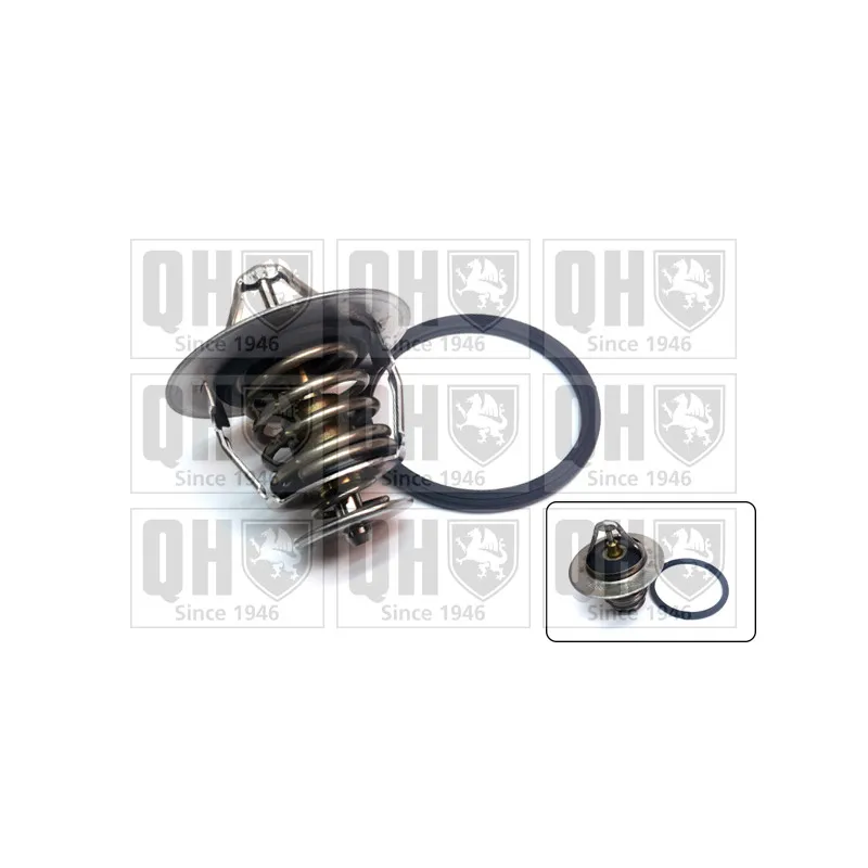 Thermostat d'eau QUINTON HAZELL QTH940K