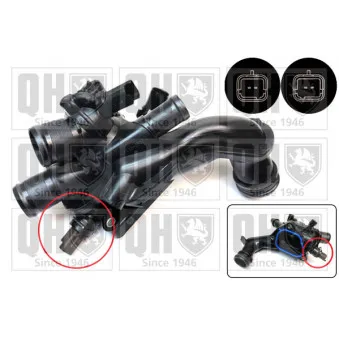 Thermostat, liquide de refroidissement QUINTON HAZELL QTH954K