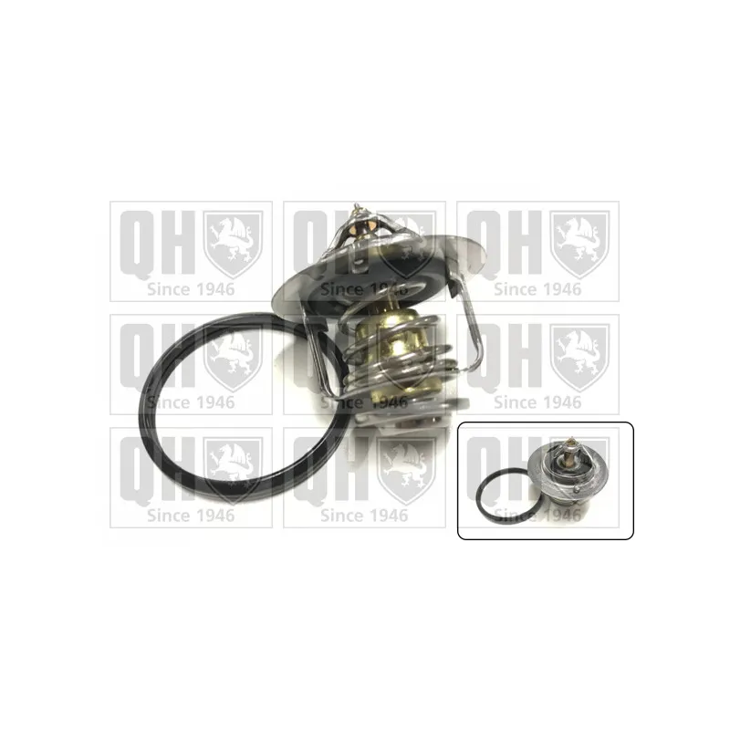 Thermostat d'eau QUINTON HAZELL QTH977K