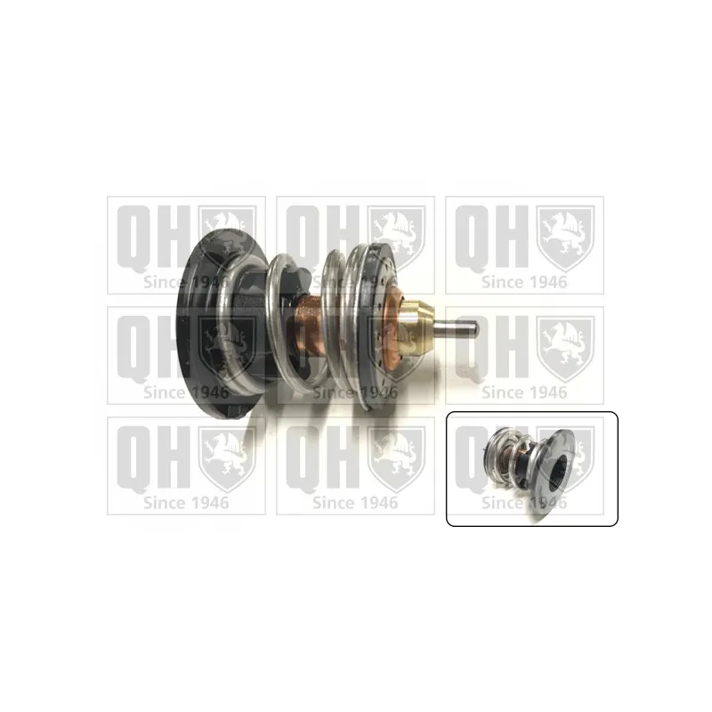 Thermostat d'eau QUINTON HAZELL QTH978K