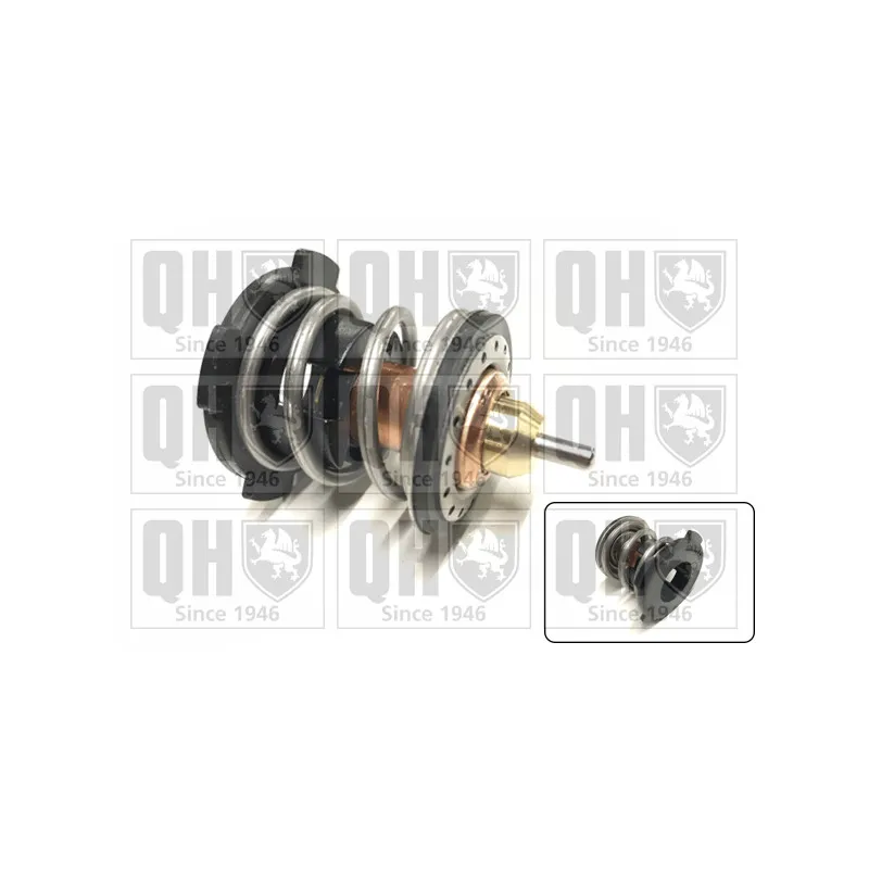 Thermostat d'eau QUINTON HAZELL QTH980K