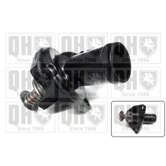 Thermostat d'eau QUINTON HAZELL