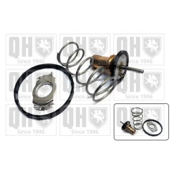 Thermostat d'eau QUINTON HAZELL QTH983K
