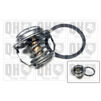 Thermostat d'eau QUINTON HAZELL QTH987K