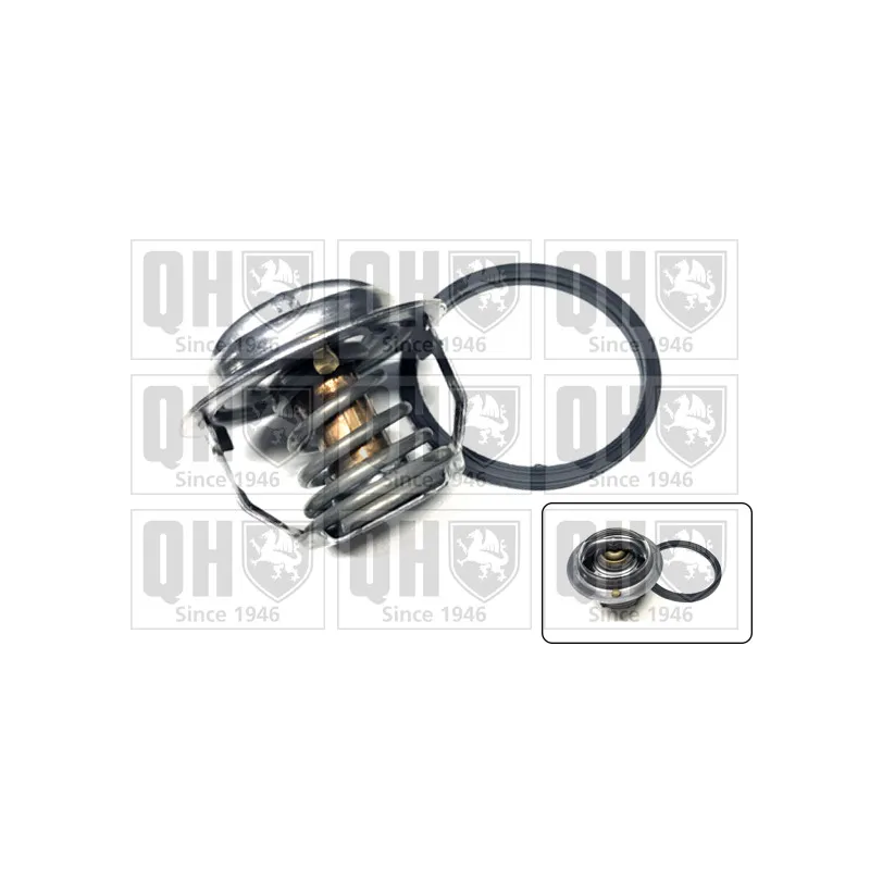 Thermostat d'eau QUINTON HAZELL QTH987K