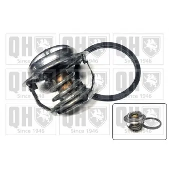 Thermostat d'eau QUINTON HAZELL