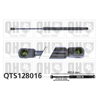 Vérin de hayon, de coffre QUINTON HAZELL QTS128016