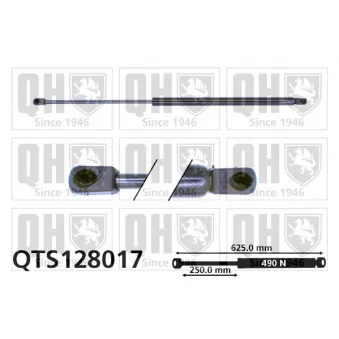 Vérin de hayon, de coffre QUINTON HAZELL QTS128017