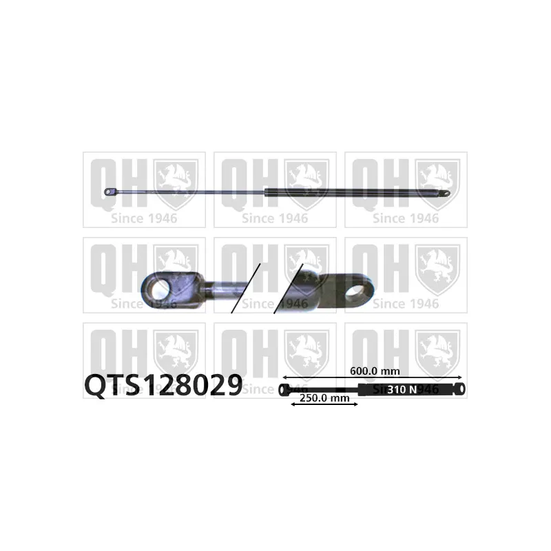 Vérin de hayon, de coffre QUINTON HAZELL QTS128029