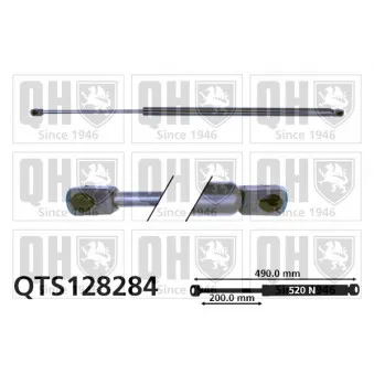 Vérin de hayon, de coffre QUINTON HAZELL QTS128284