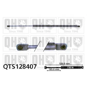 Vérin de hayon, de coffre QUINTON HAZELL QTS128407