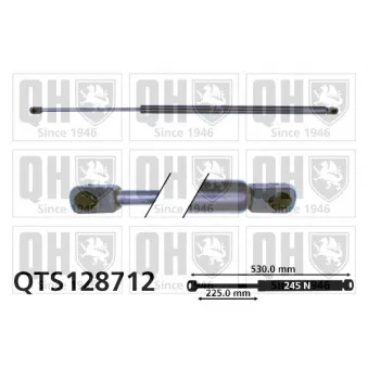 Vérin, capot-moteur QUINTON HAZELL QTS128712